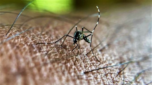 Capture-decran-216-640x358